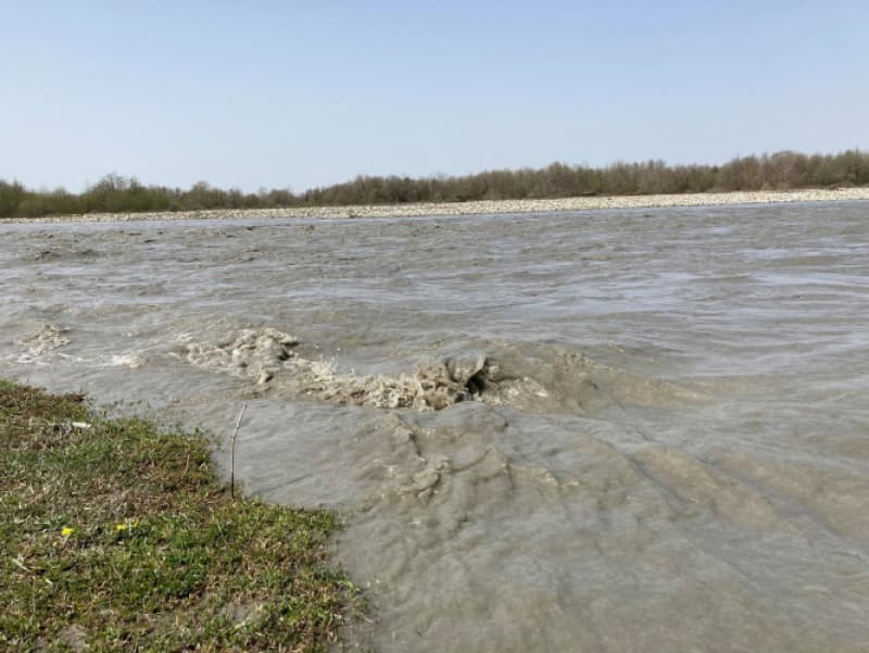 განცხადება, ენგური