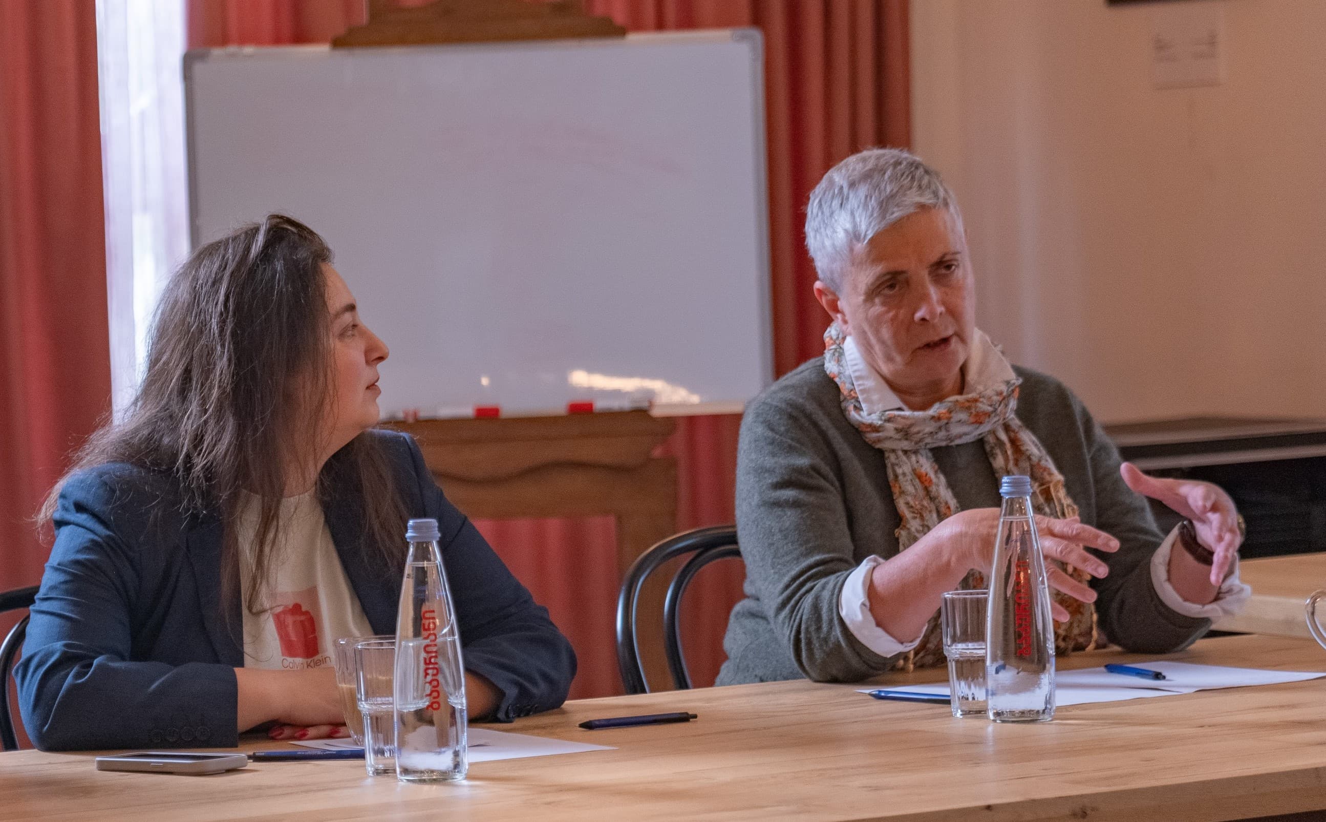 ახალგაზრდული ქსელის სამუშაო შეხევედრა 